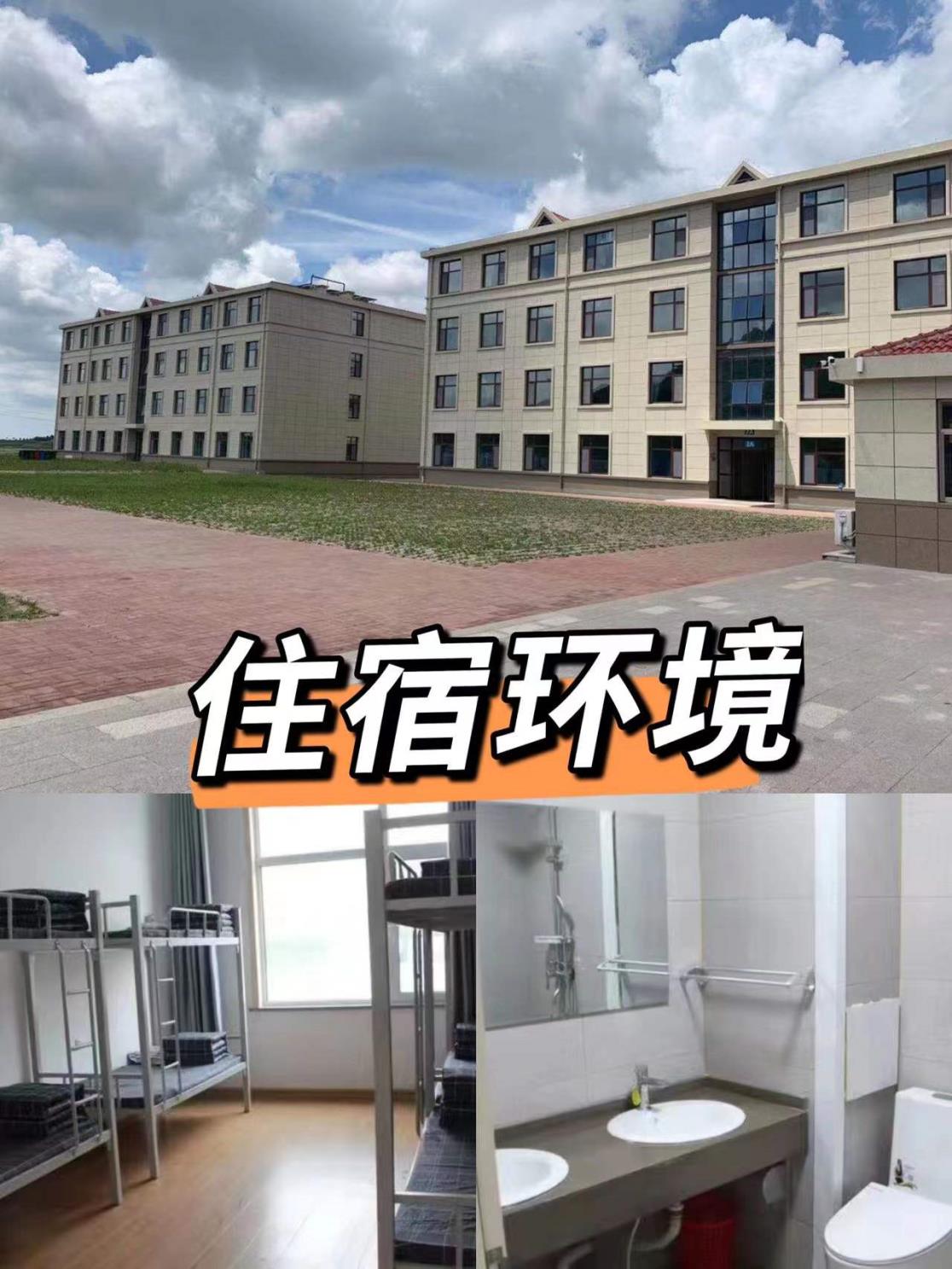 沖鋒者勇士障礙賽青島營(yíng)地-青島拓展培訓(xùn)公司|青島團(tuán)建勝地|專業(yè)拓展訓(xùn)練服務(wù)-青島眾行遠(yuǎn)管理咨詢