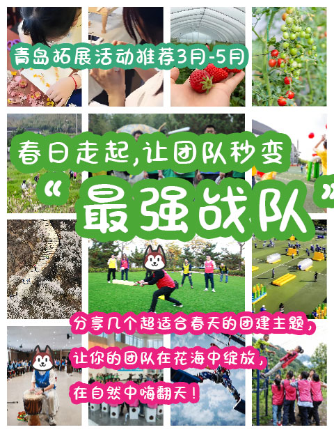 春日走起｜這些主題讓你的團(tuán)隊秒變“最強(qiáng)戰(zhàn)隊”！