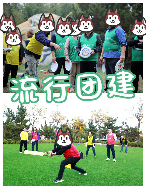 青島拓展，青島拓展訓練，青島團建，請致電青島眾行遠