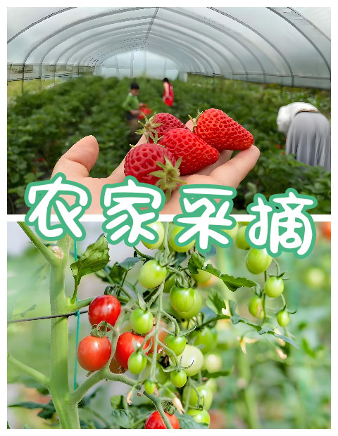 青島拓展，青島拓展訓練，青島團建，請致電青島眾行遠