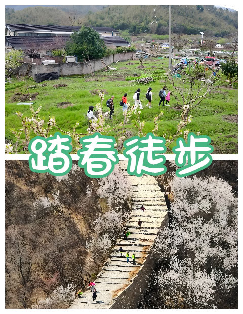 青島拓展，青島拓展訓練，青島團建，請致電青島眾行遠