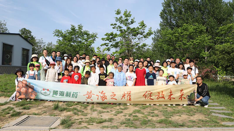 黃海之耀，華麗綻放